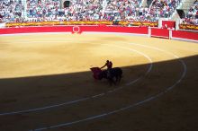 It wouldn't be Spain without Bullfights!