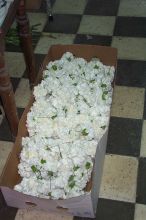 One of the boxes of flowers used to decorated the passos.
